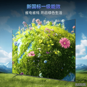 电视机品牌推荐与挑选指南：轻松找到理